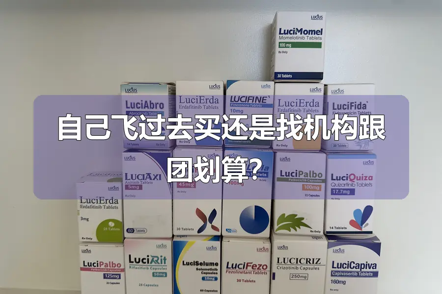 自己飞过去买还是找机构跟团划算?