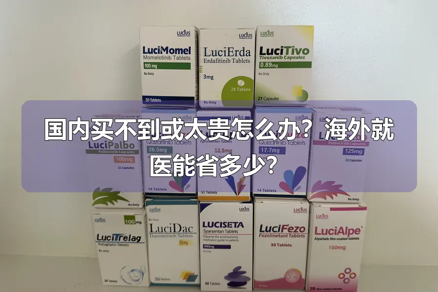 国内买不到或太贵怎么办?海外就医能省多少?